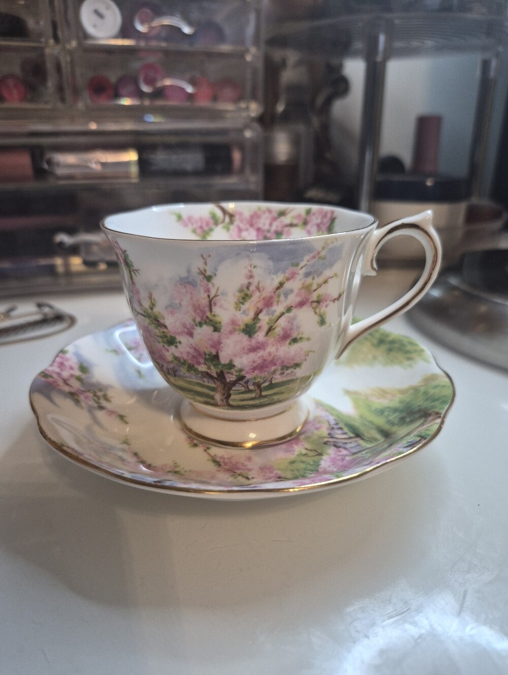 Royal Albert Blossom Time